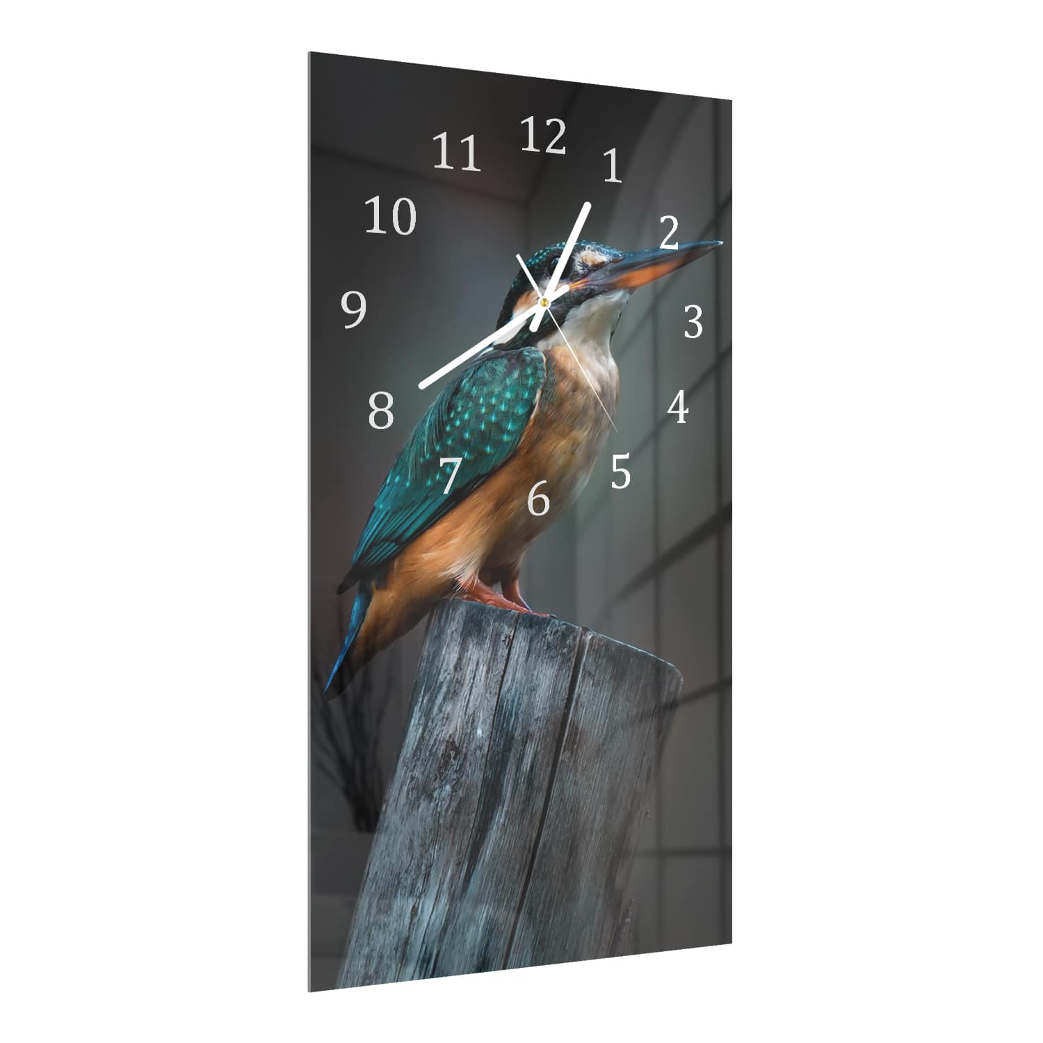 Wandklok 30x60  - Gehard Glas - Kleine Ijsvogel