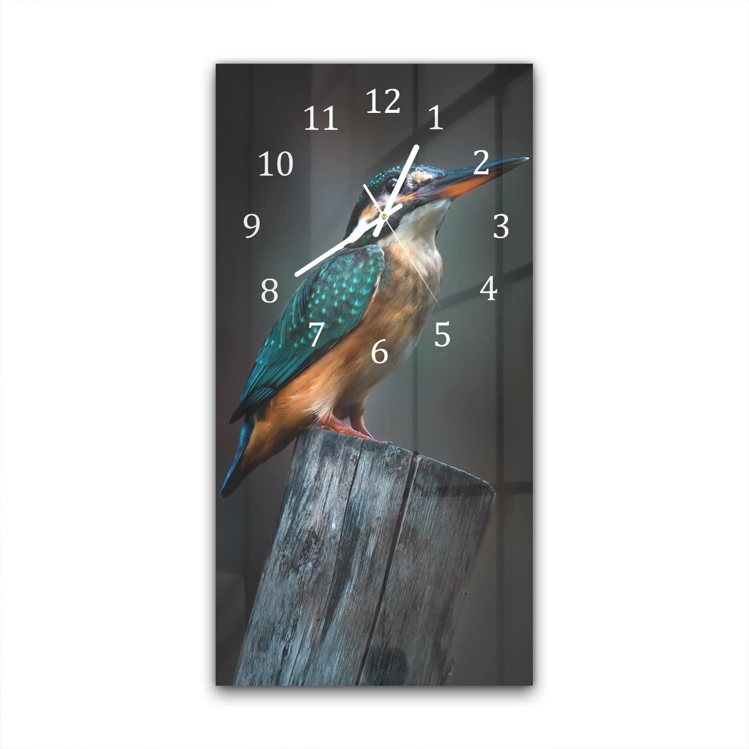 Wandklok 30x60  - Gehard Glas - Kleine Ijsvogel