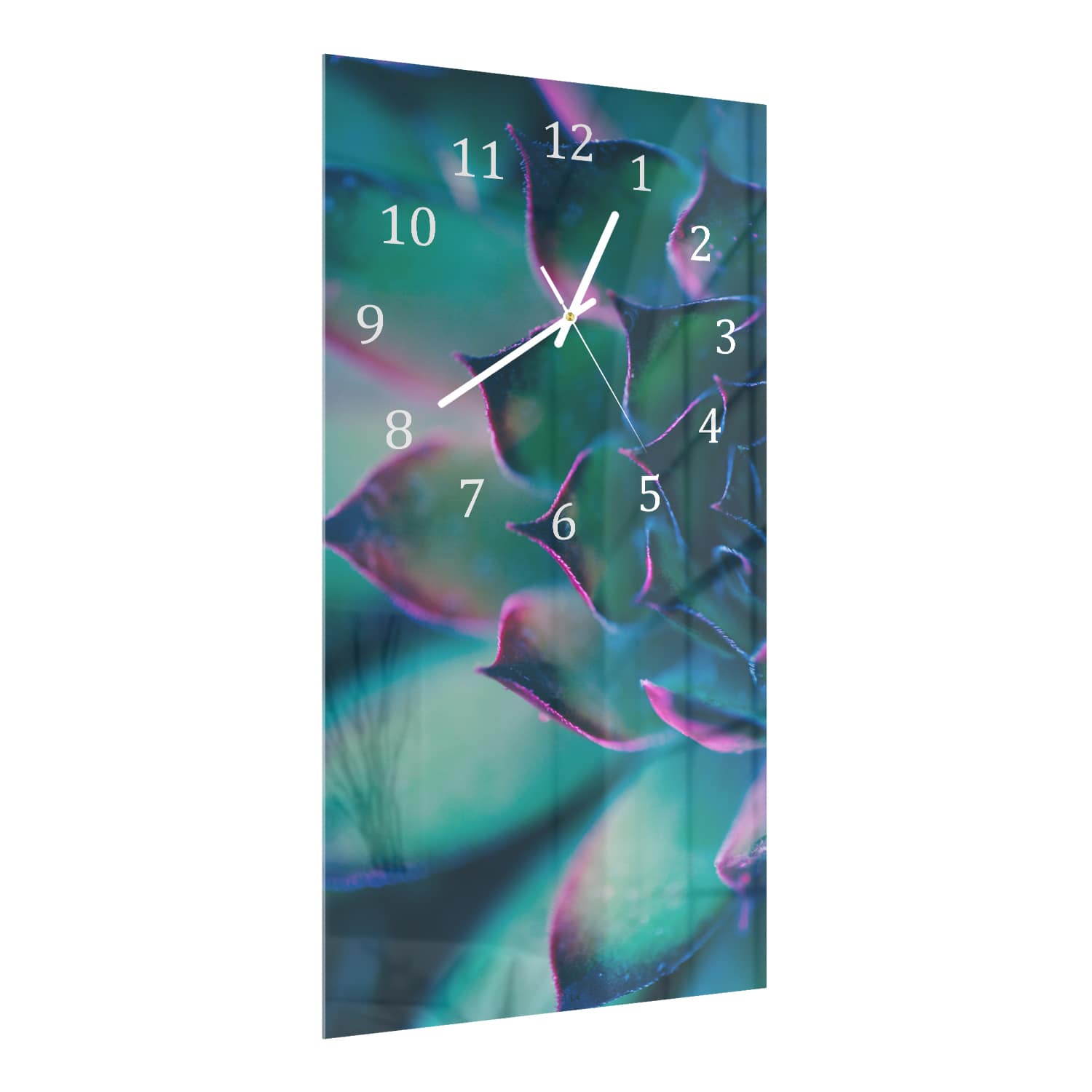 Wandklok 30x60  - Gehard Glas - Kleurrijke Succulent