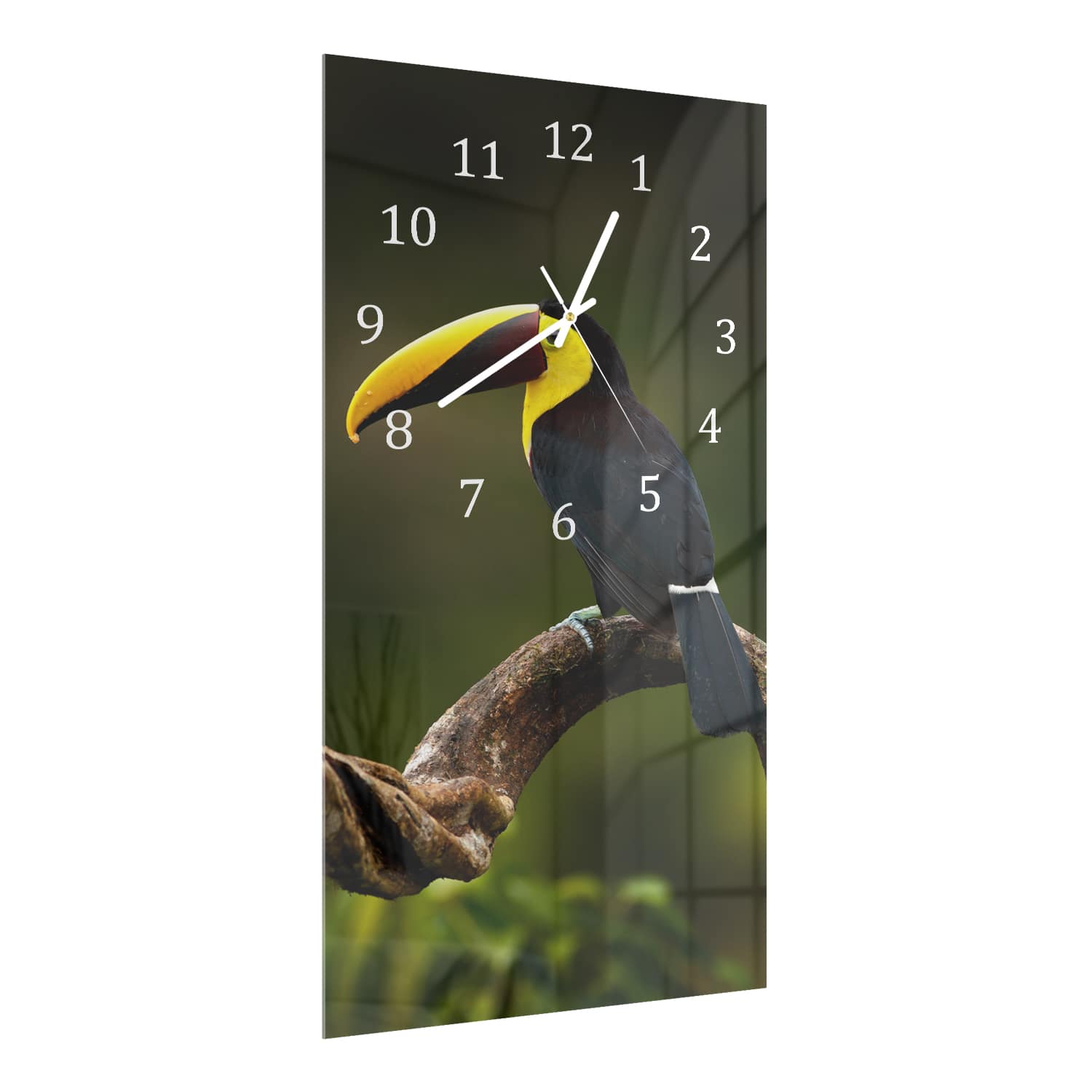 Wandklok 30x60  - Gehard Glas - Tropische Vogel