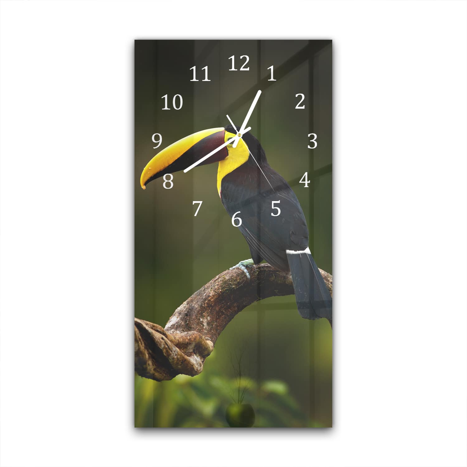 Wandklok 30x60  - Gehard Glas - Tropische Vogel