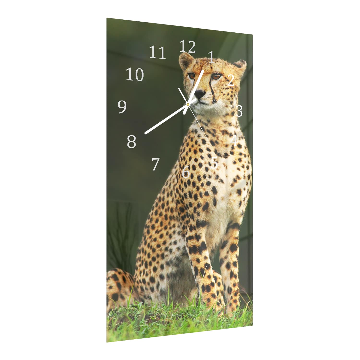 Wandklok 30x60  - Gehard Glas - Wilde Cheetah