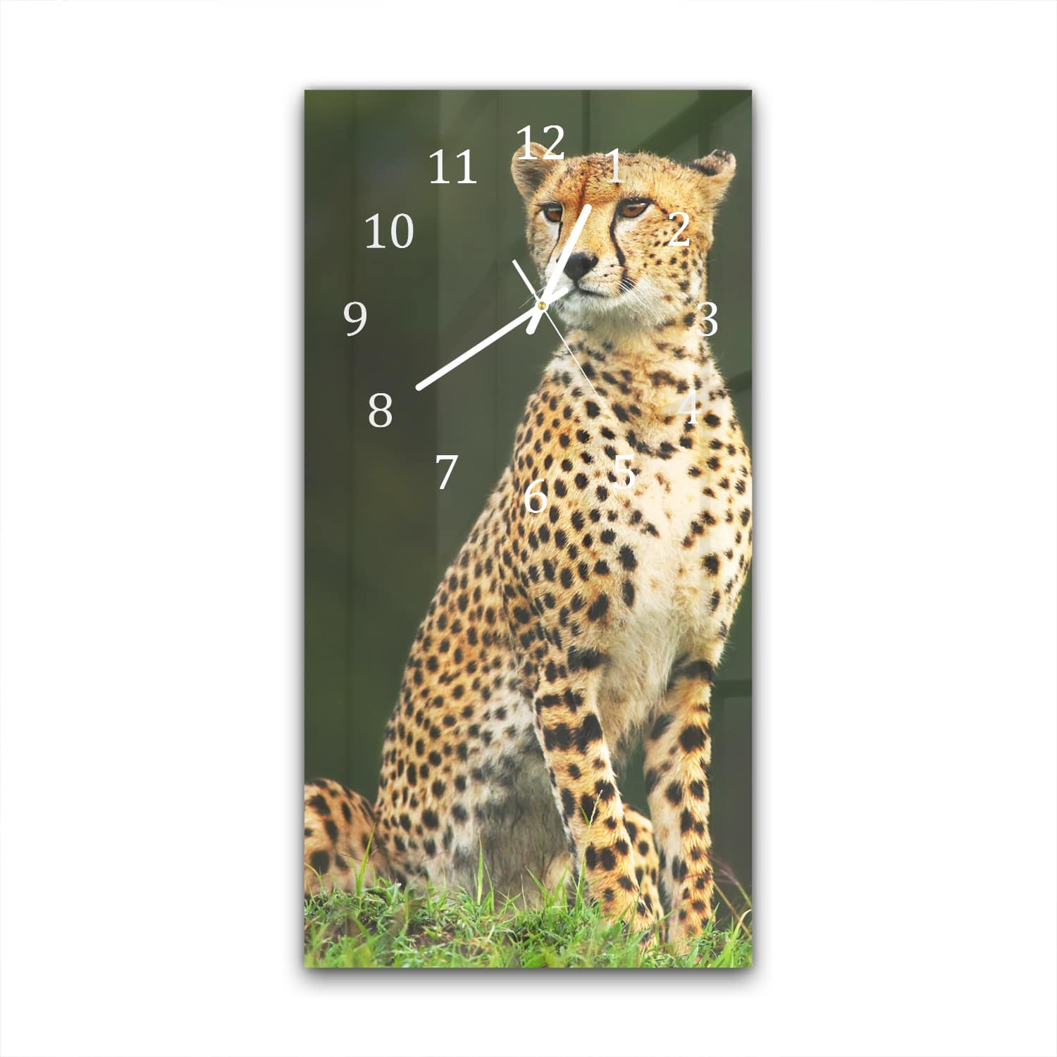 Wandklok 30x60  - Gehard Glas - Wilde Cheetah