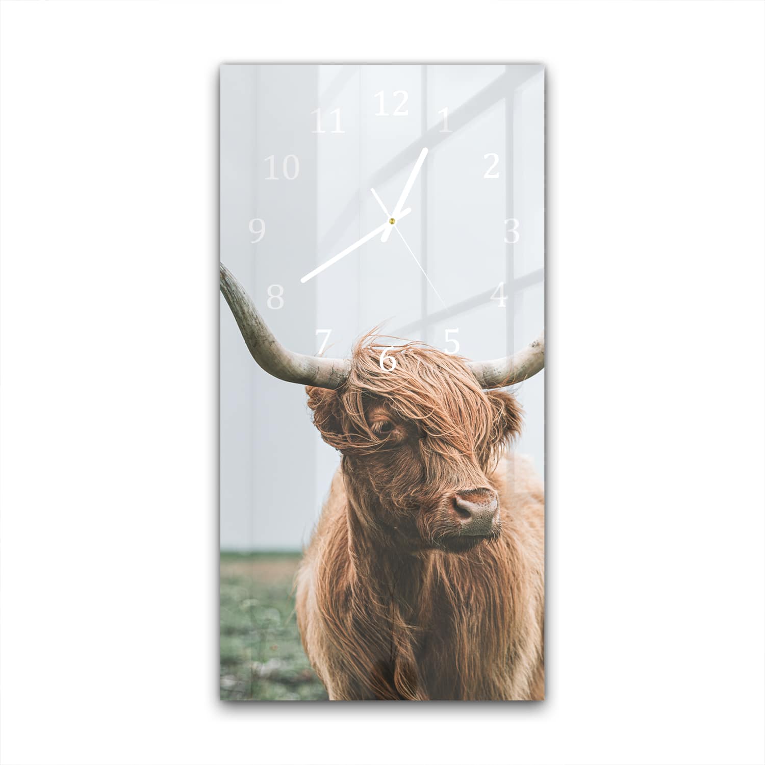 Wandklok 30x60  - Gehard Glas - Schotse Hooglander in de Wind