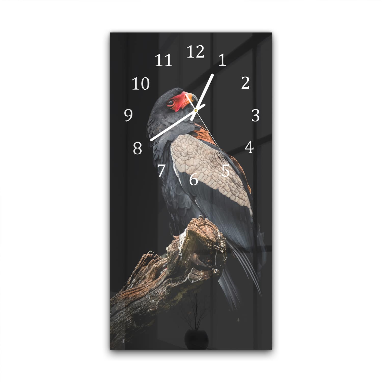 Wandklok 30x60  - Gehard Glas - Bateleur