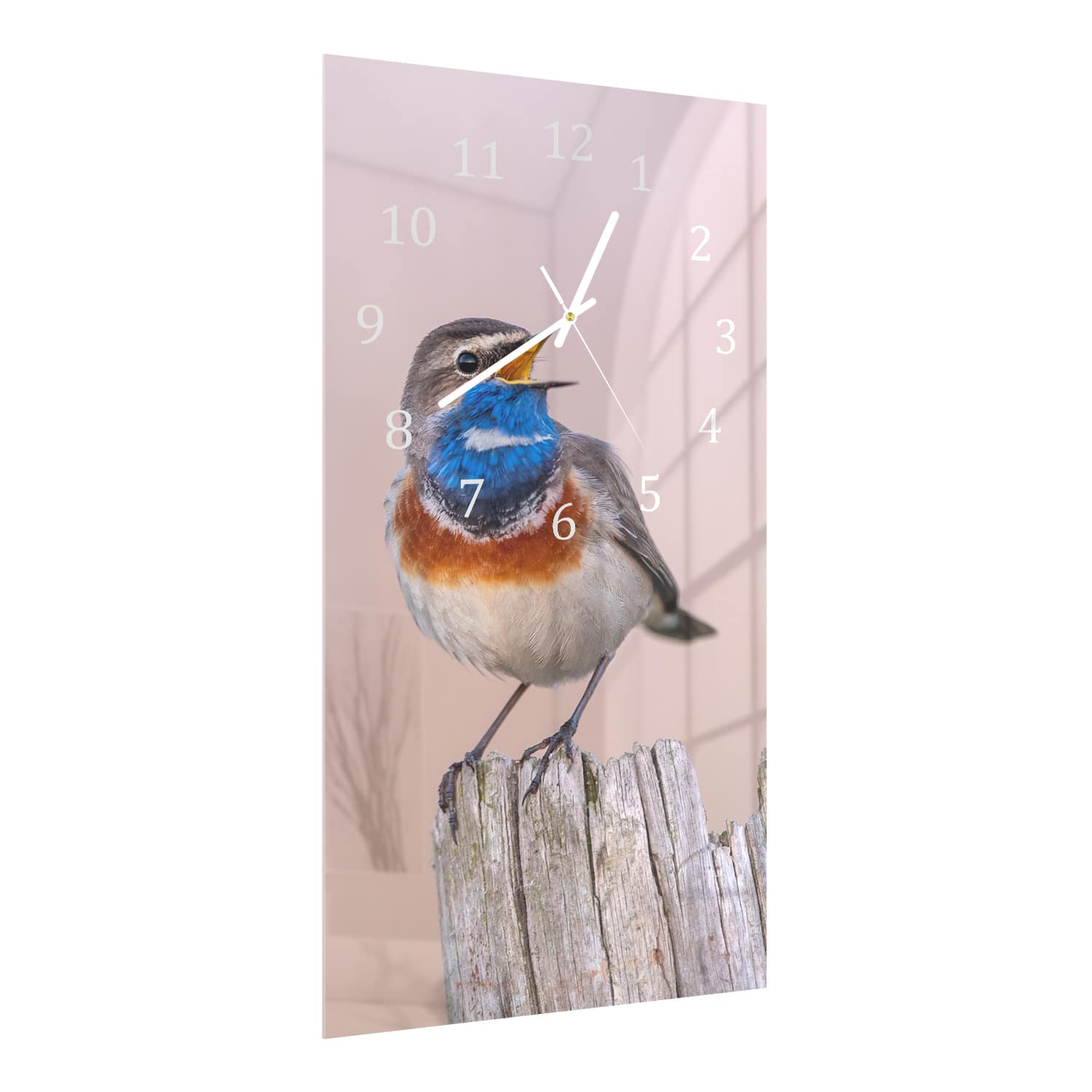 Wandklok 30x60  - Gehard Glas - Blauwborst Vogel