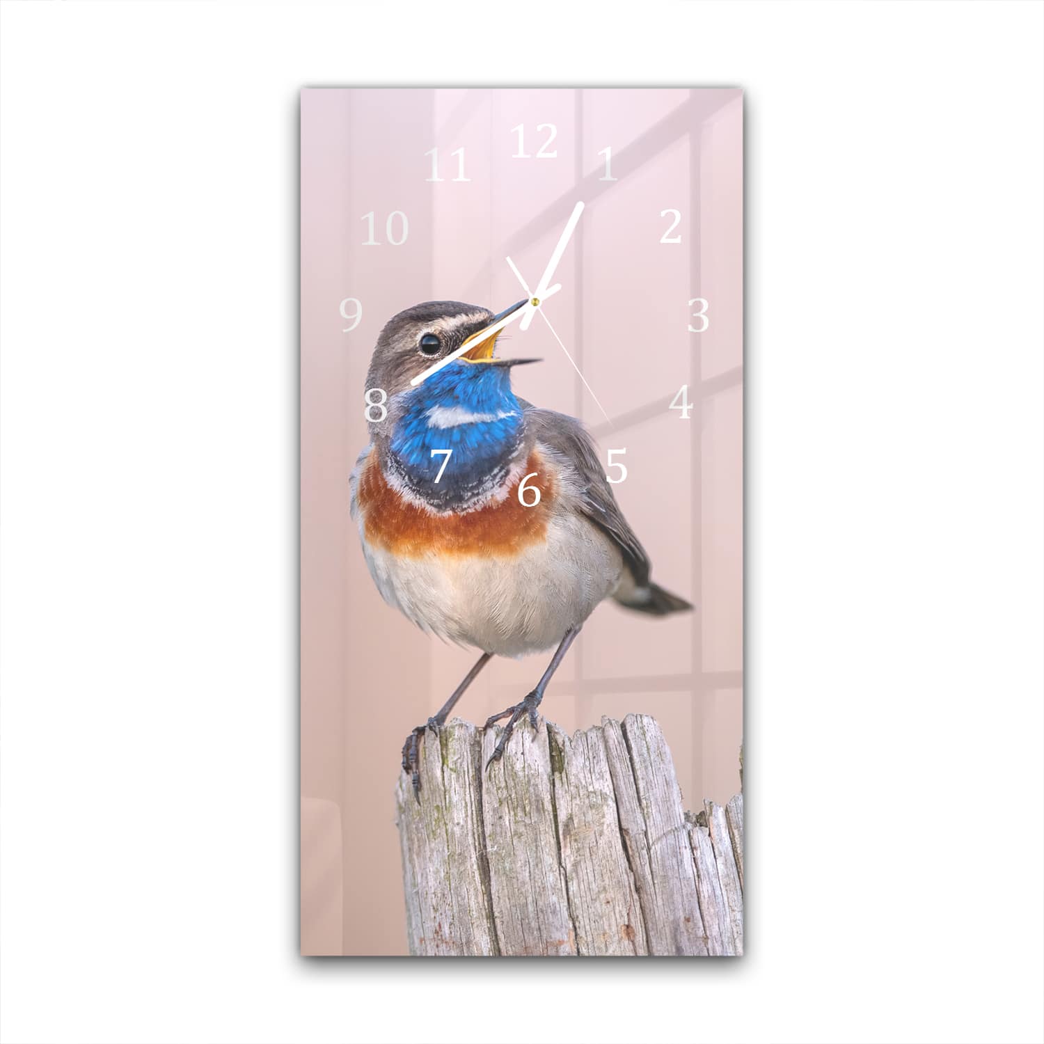 Wandklok 30x60  - Gehard Glas - Blauwborst Vogel