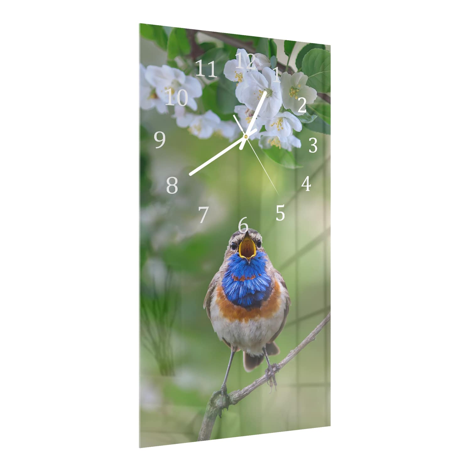 Wandklok 30x60  - Gehard Glas - Schattige Blauwborst