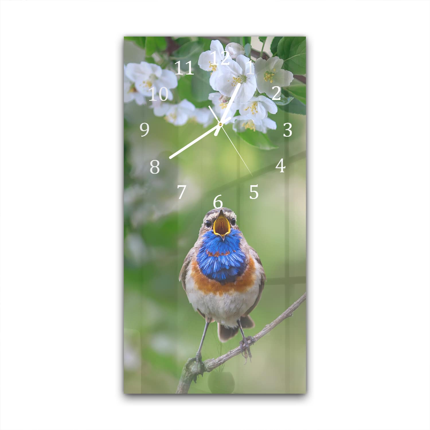 Wandklok 30x60  - Gehard Glas - Schattige Blauwborst