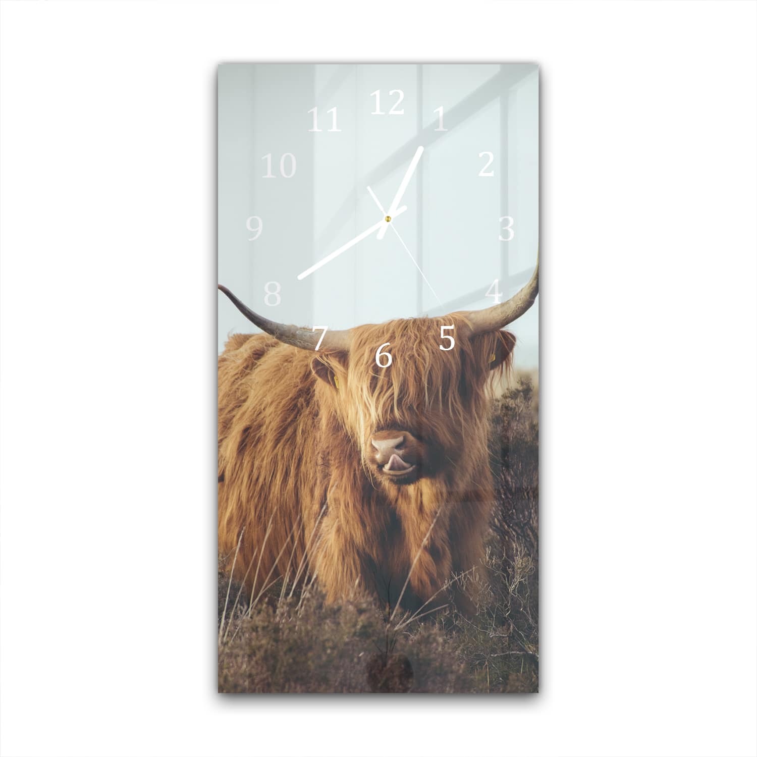 Wandklok 30x60  - Gehard Glas - Schotse Hooglander tussen het Gras