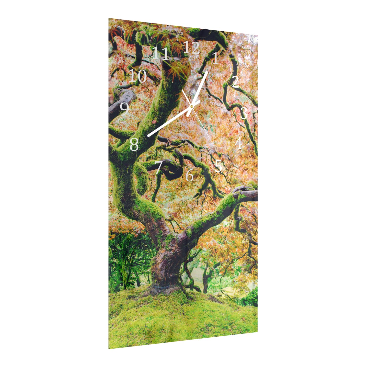 Wandklok 30x60  - Gehard Glas - Mossige Boom in de Herfst