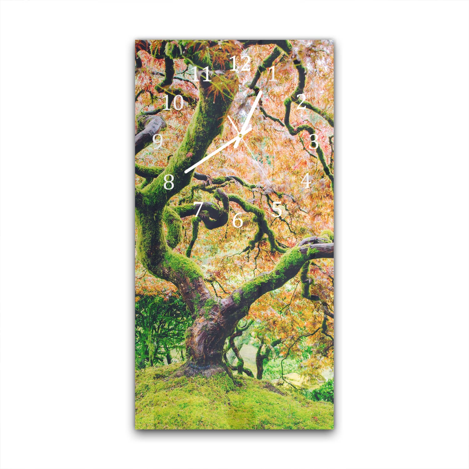 Wandklok 30x60  - Gehard Glas - Mossige Boom in de Herfst