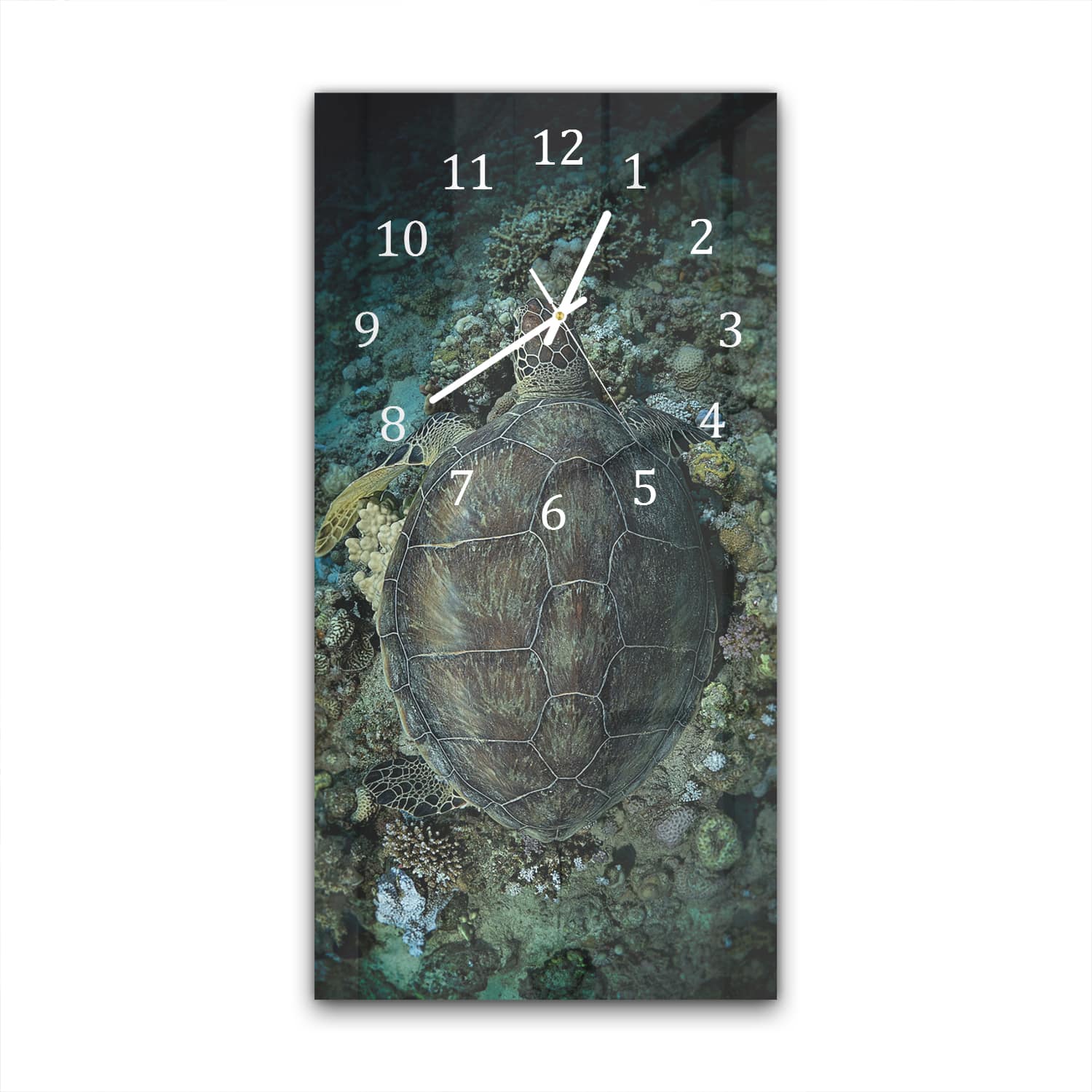 Wandklok 30x60  - Gehard Glas - Schildpad en Koraal