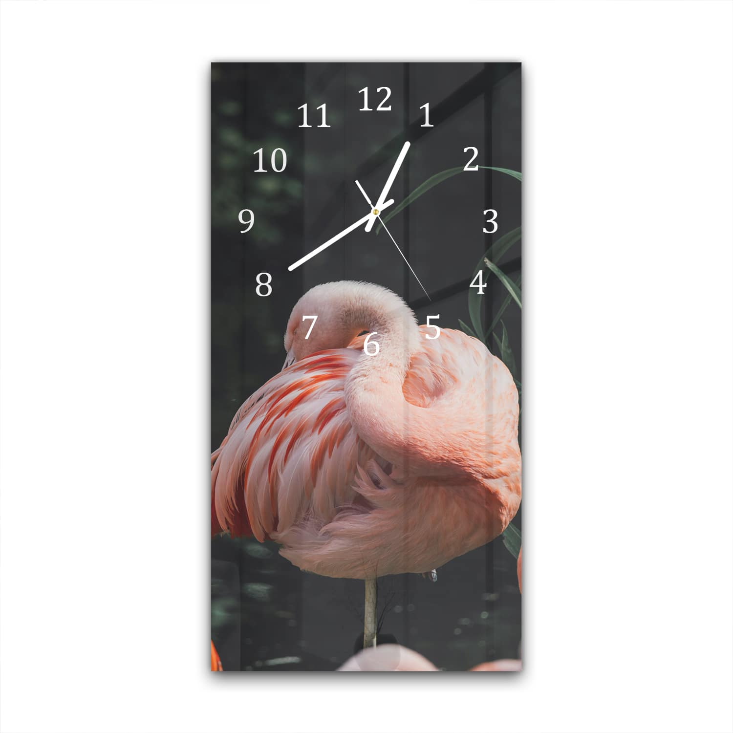 Wandklok 30x60  - Gehard Glas - Flamingo in de Natuur