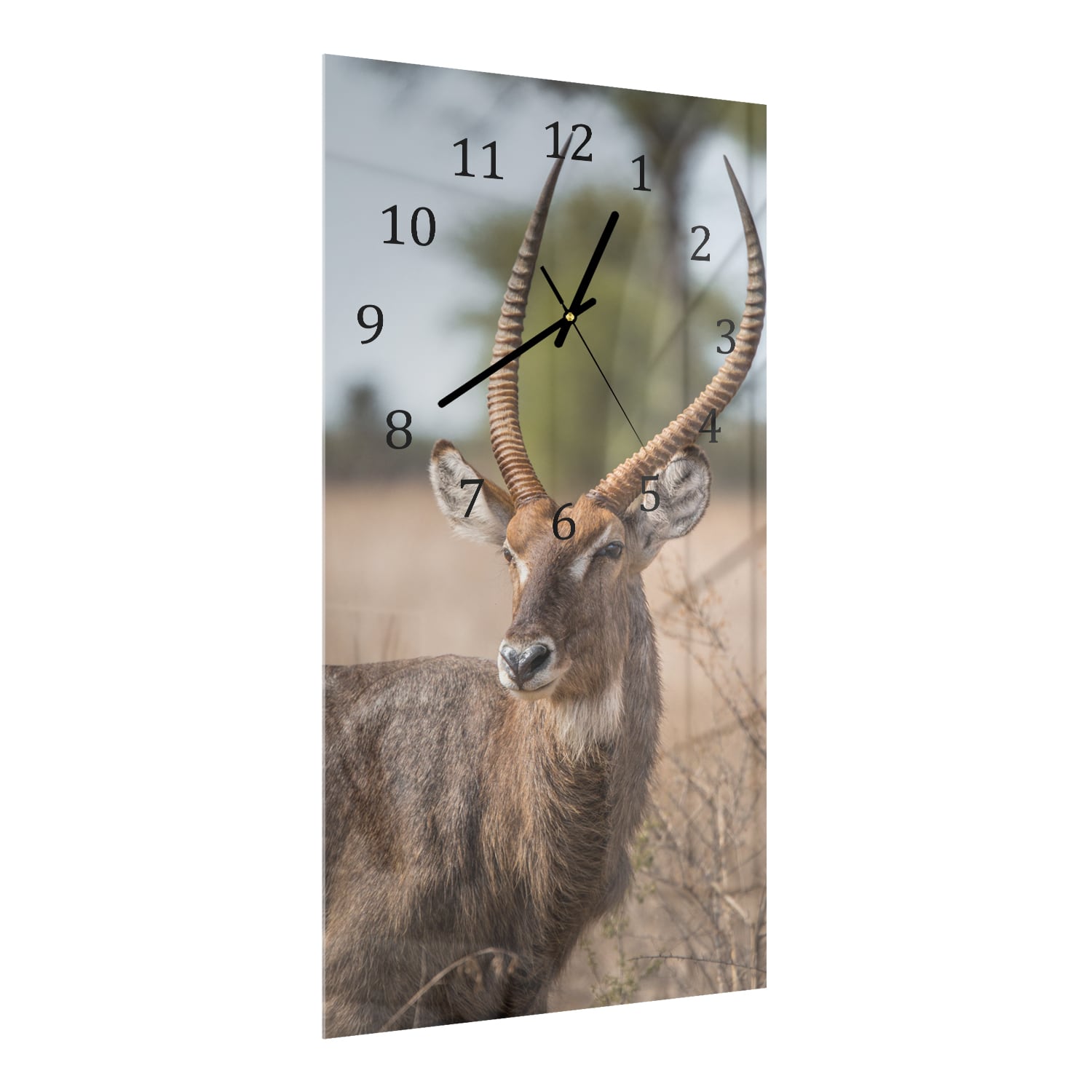 Wandklok 30x60  - Gehard Glas - Waterbok