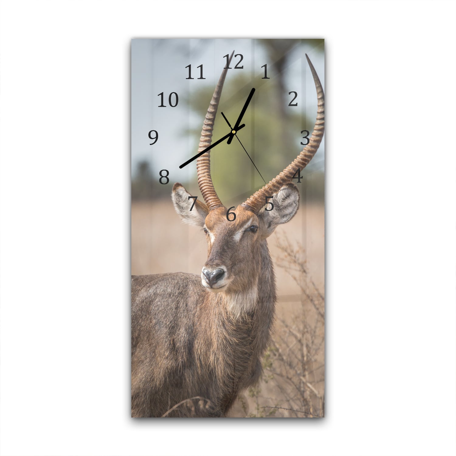 Wandklok 30x60  - Gehard Glas - Waterbok