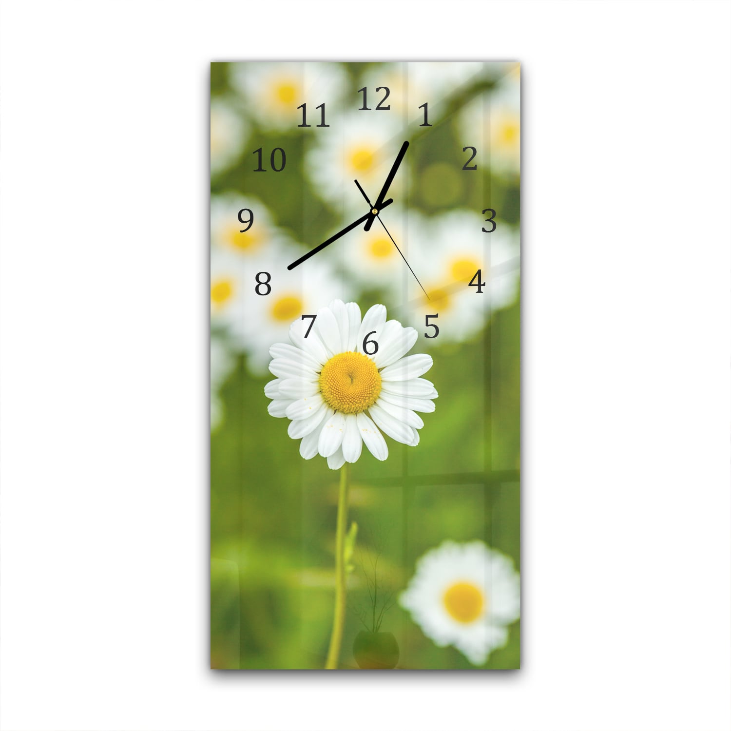 Wandklok 30x60  - Gehard Glas - Veld van Madeliefjes