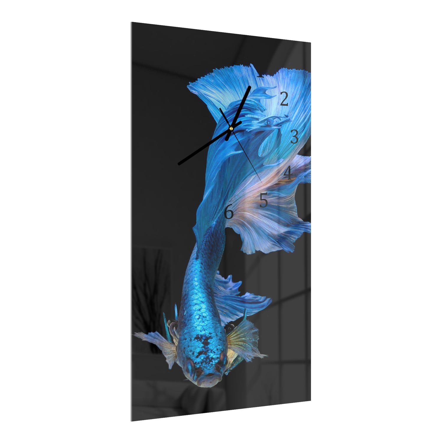 Wandklok 30x60  - Gehard Glas - Blauwe Vis