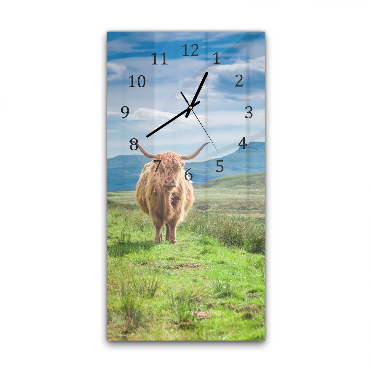 Wandklok 30x60  - Gehard Glas - Wollige Schotse Hooglander