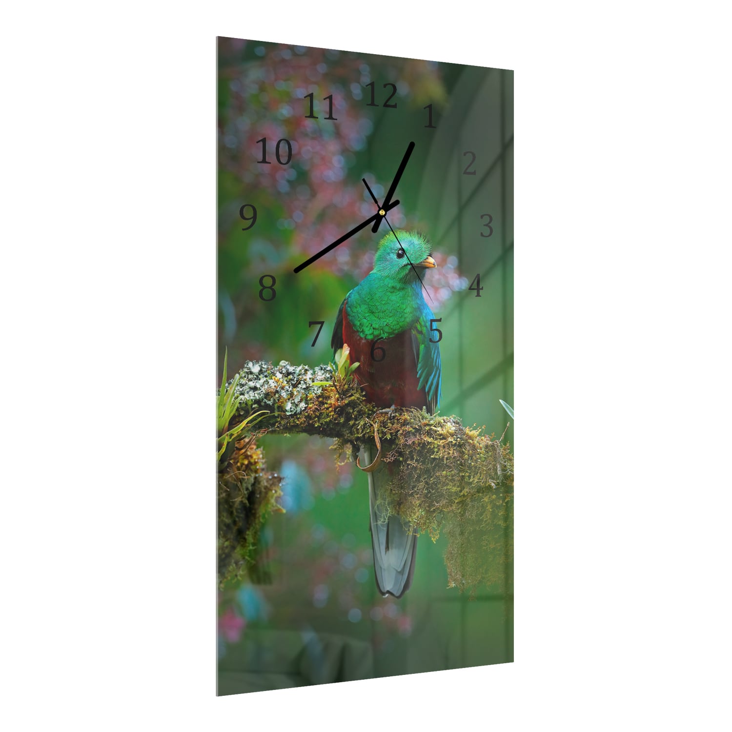 Wandklok 30x60  - Gehard Glas - Quetzal Vogel