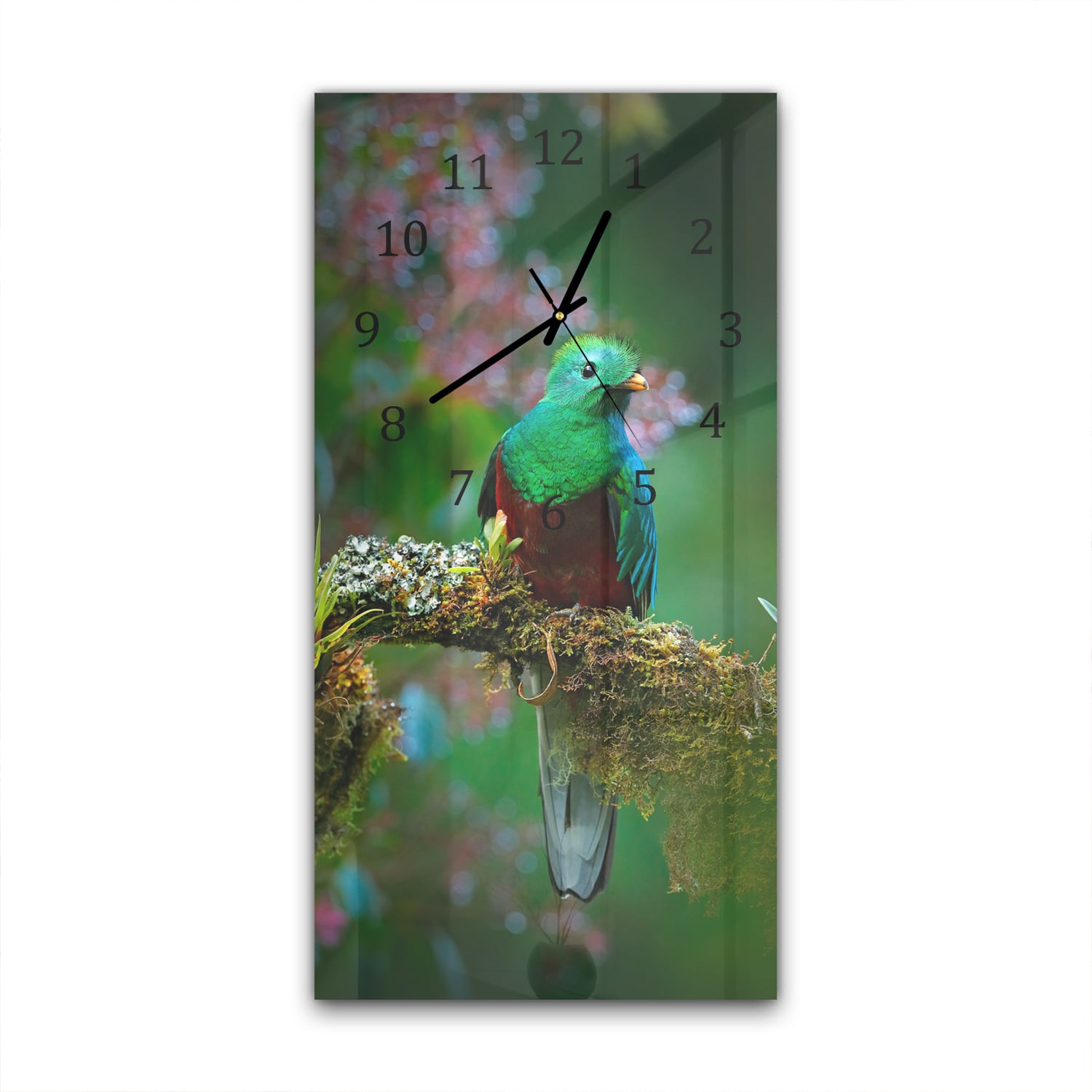 Wandklok 30x60  - Gehard Glas - Quetzal Vogel