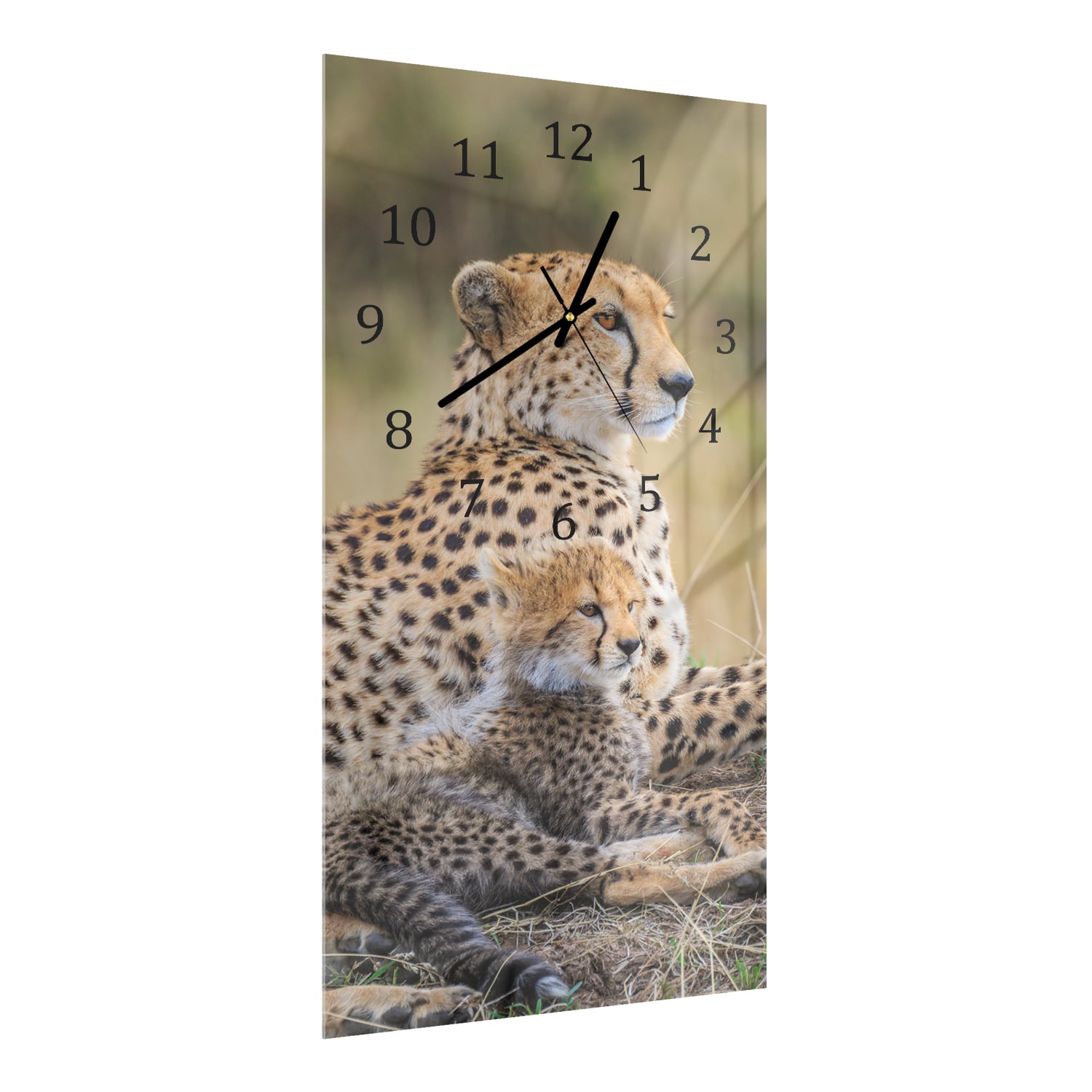 Wandklok 30x60  - Gehard Glas - Cheetah met Pup