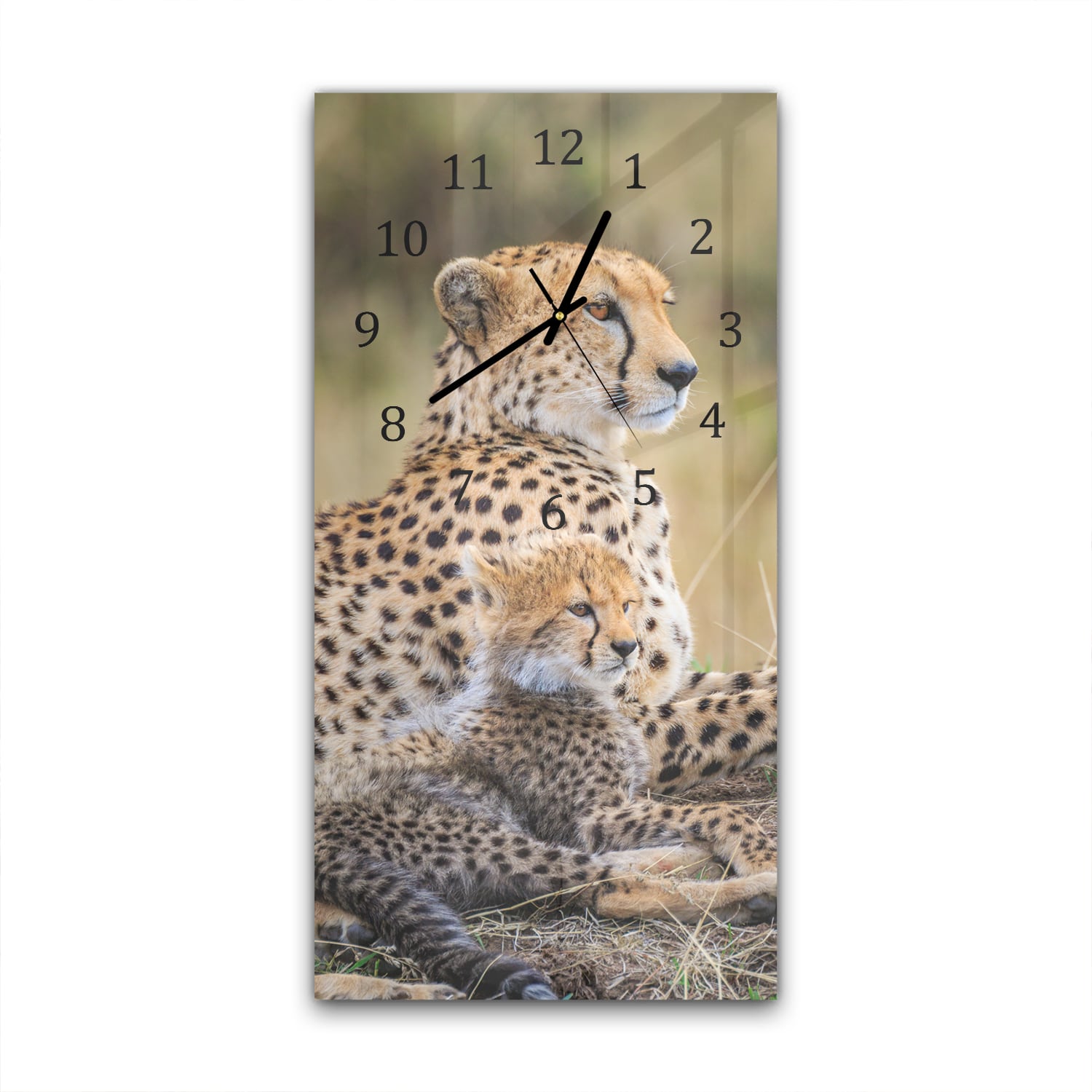 Wandklok 30x60  - Gehard Glas - Cheetah met Pup