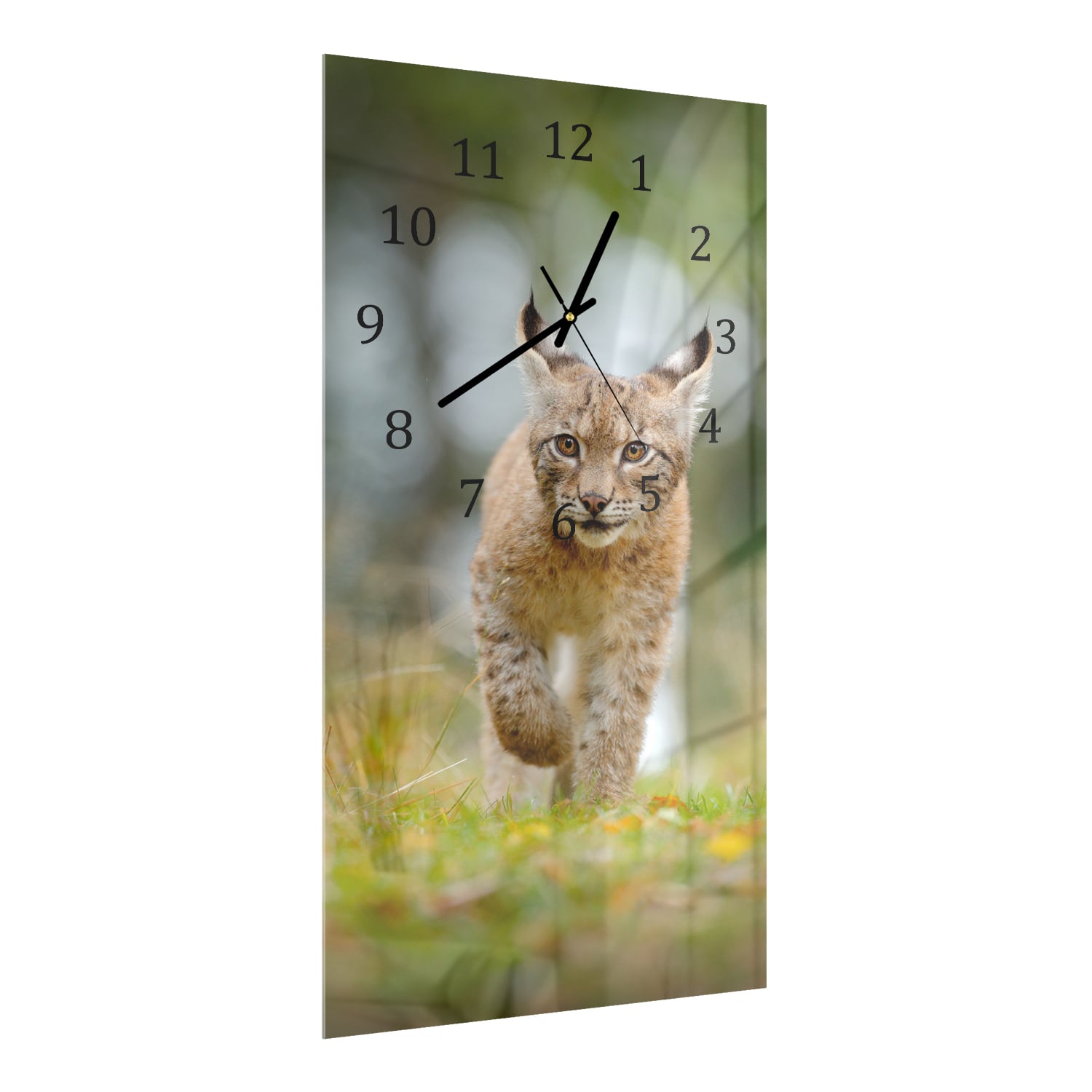 Wandklok 30x60  - Gehard Glas - Jonge Lynx