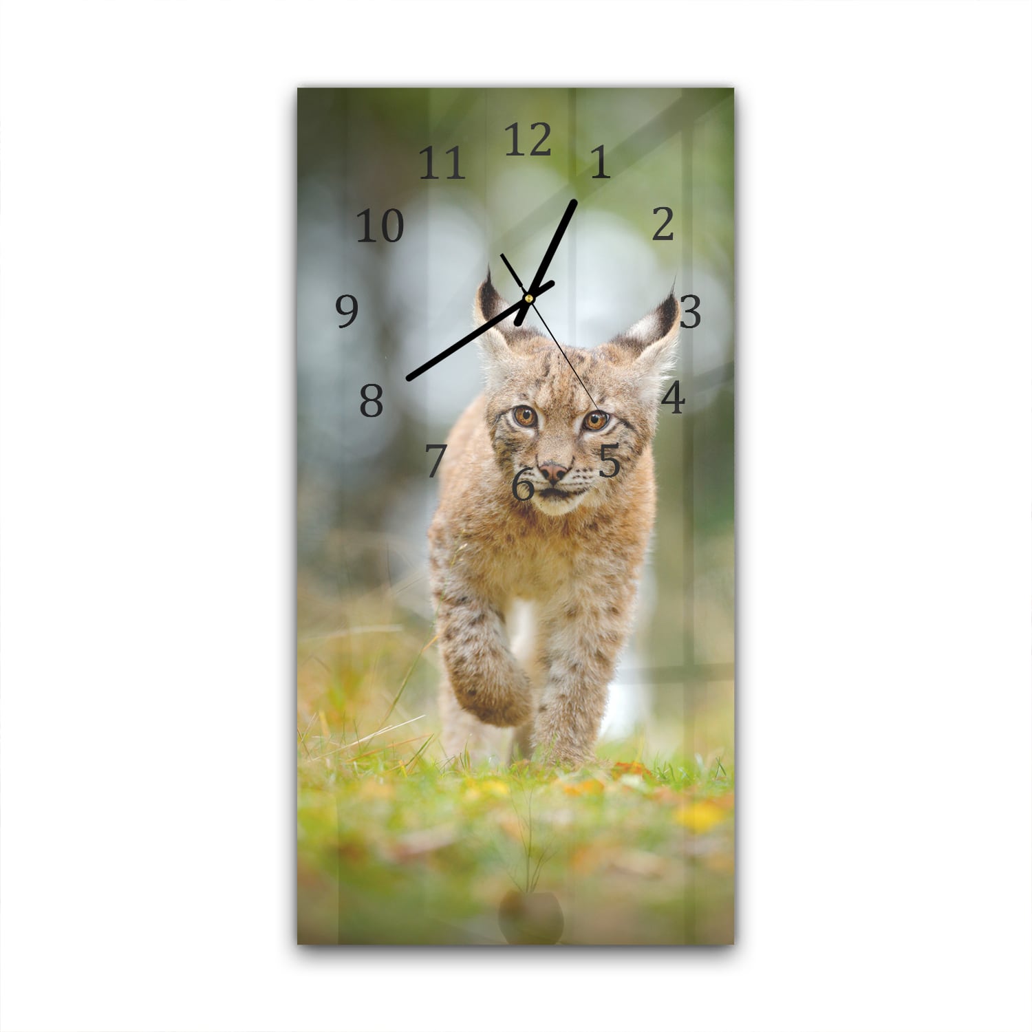 Wandklok 30x60  - Gehard Glas - Jonge Lynx