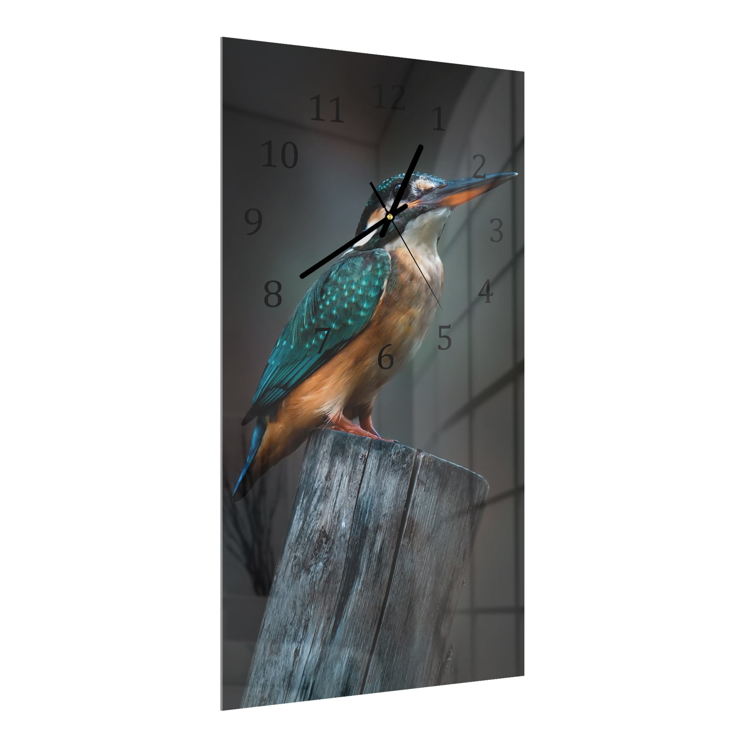 Wandklok 30x60  - Gehard Glas - Kleine Ijsvogel