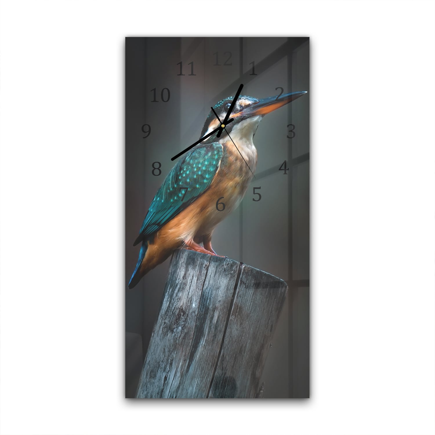 Wandklok 30x60  - Gehard Glas - Kleine Ijsvogel