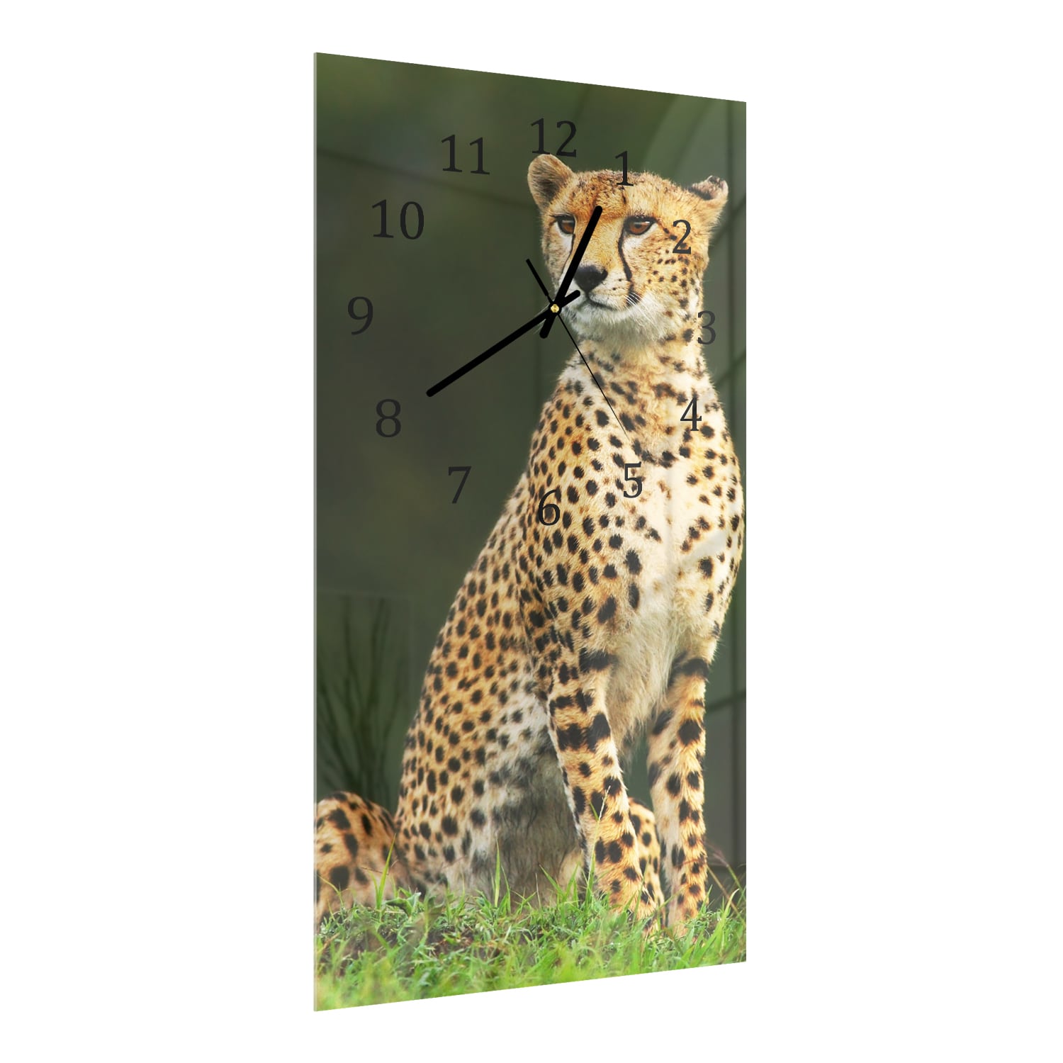 Wandklok 30x60  - Gehard Glas - Wilde Cheetah