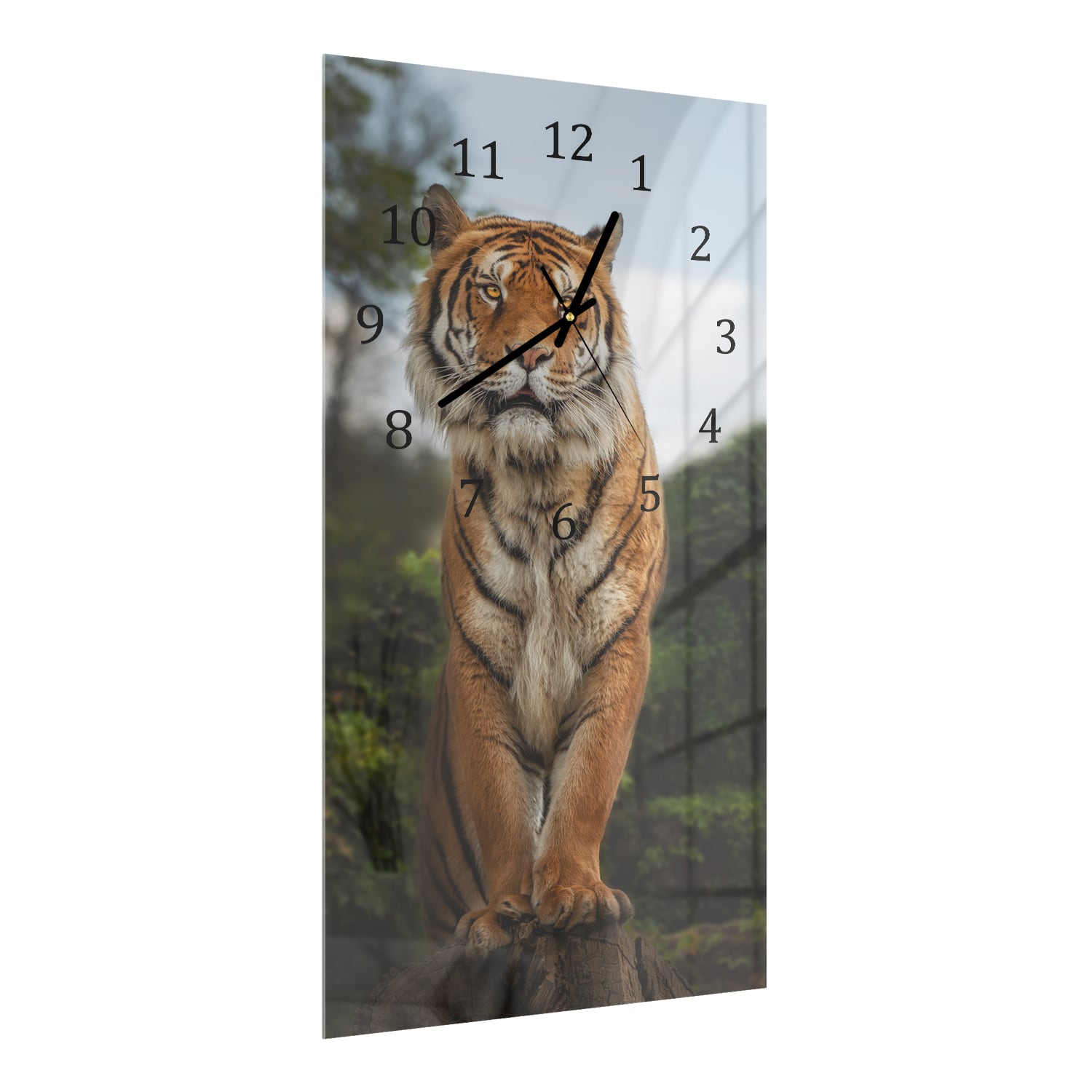 Wandklok 30x60  - Gehard Glas - Bengaalse Tijger op een Rots
