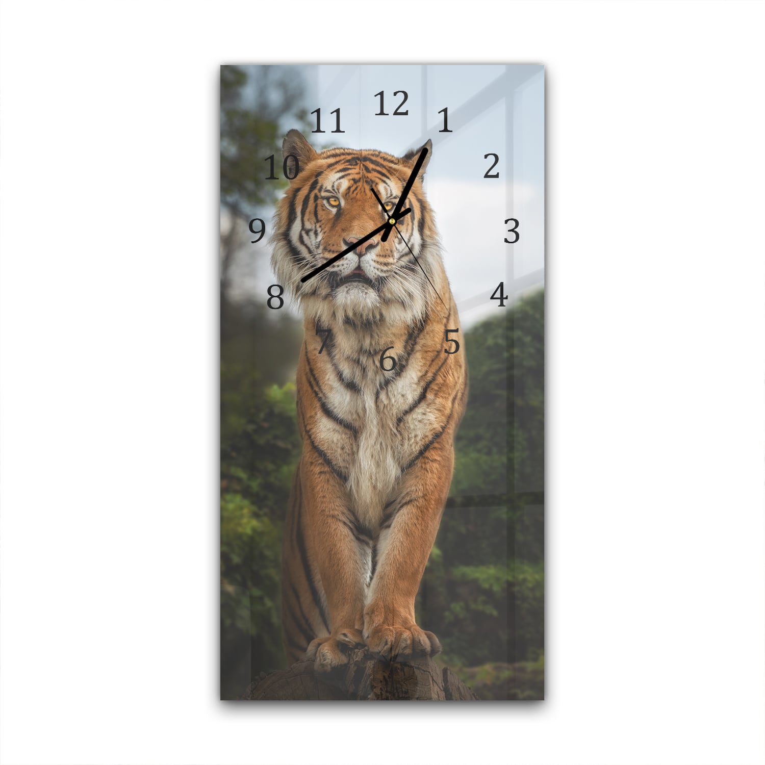 Wandklok 30x60  - Gehard Glas - Bengaalse Tijger op een Rots