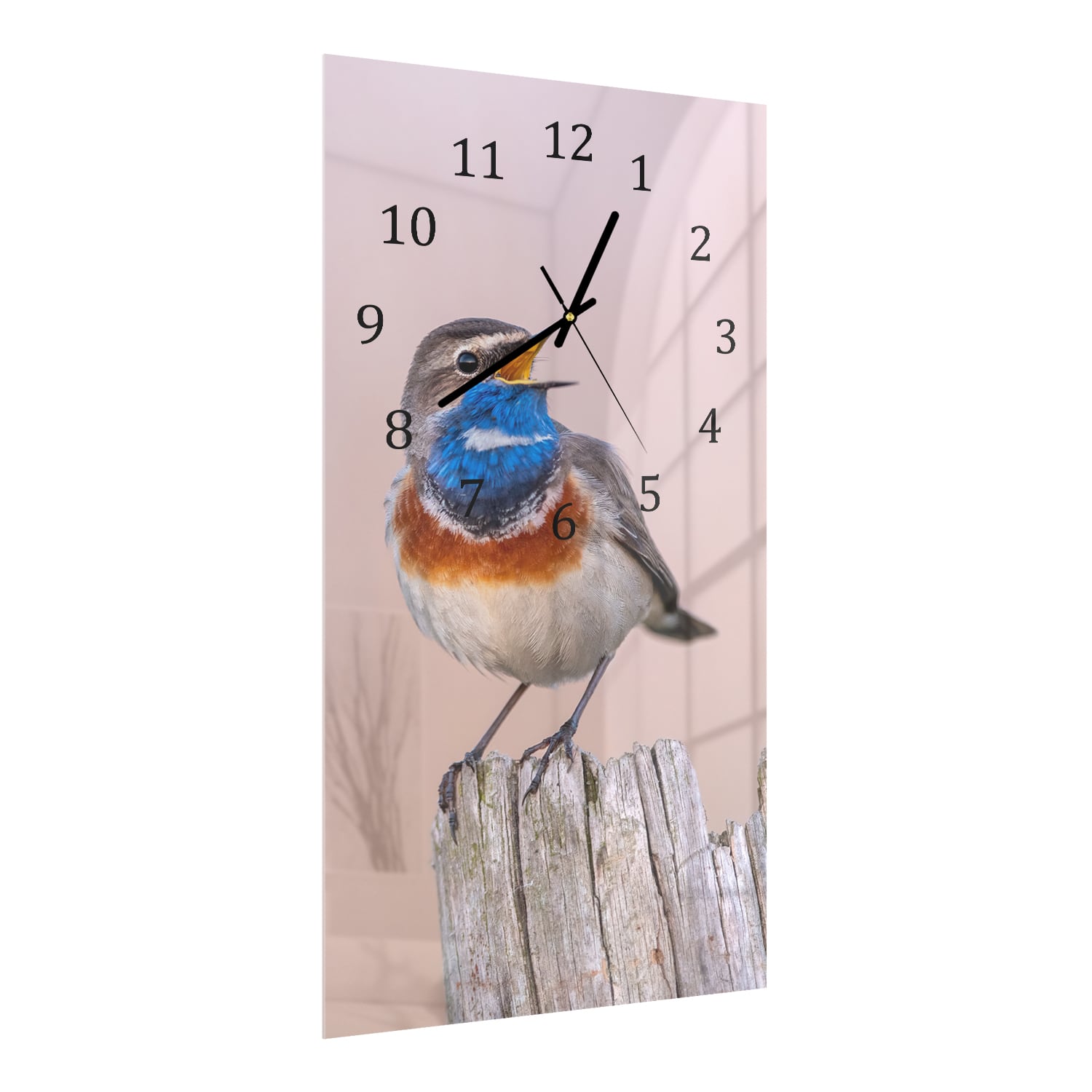 Wandklok 30x60  - Gehard Glas - Blauwborst Vogel