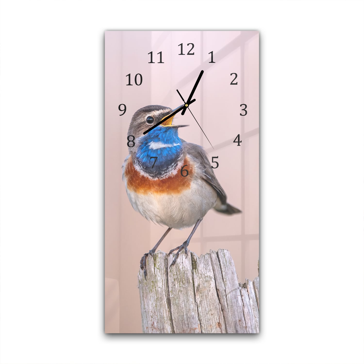 Wandklok 30x60  - Gehard Glas - Blauwborst Vogel