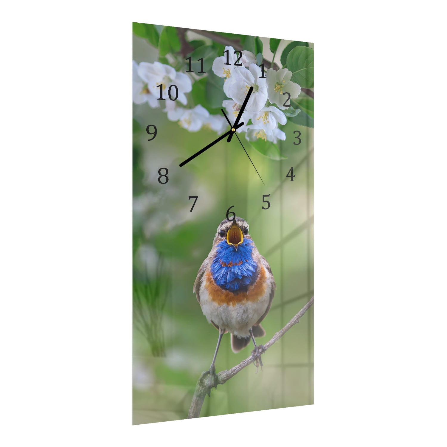 Wandklok 30x60  - Gehard Glas - Schattige Blauwborst