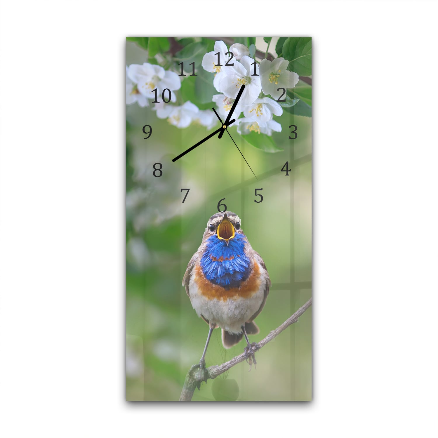 Wandklok 30x60  - Gehard Glas - Schattige Blauwborst