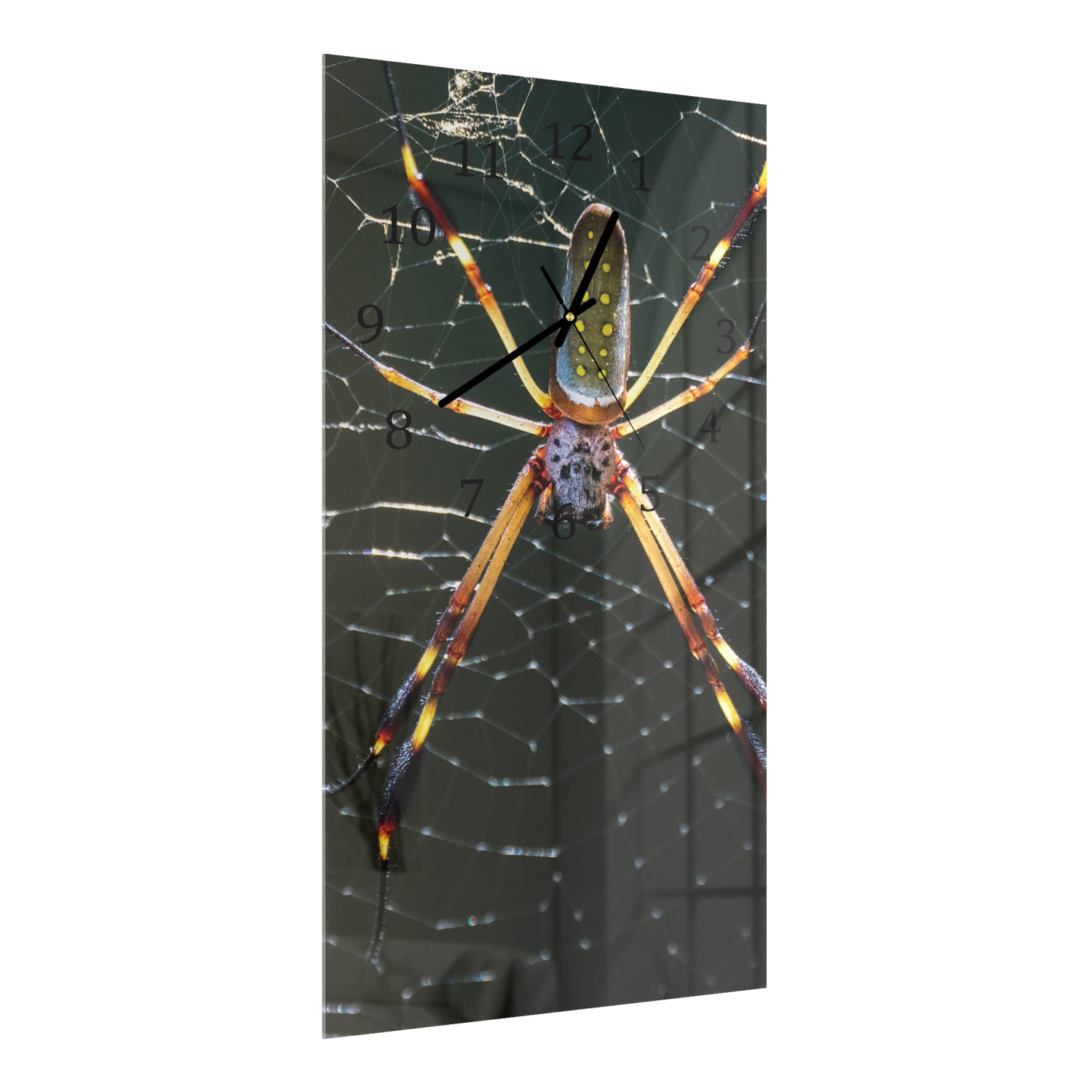 Wandklok 30x60  - Gehard Glas - Goudkleurige Weverspin