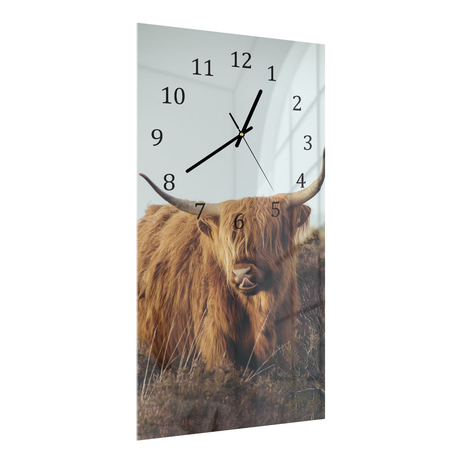 Wandklok 30x60  - Gehard Glas - Schotse Hooglander tussen het Gras