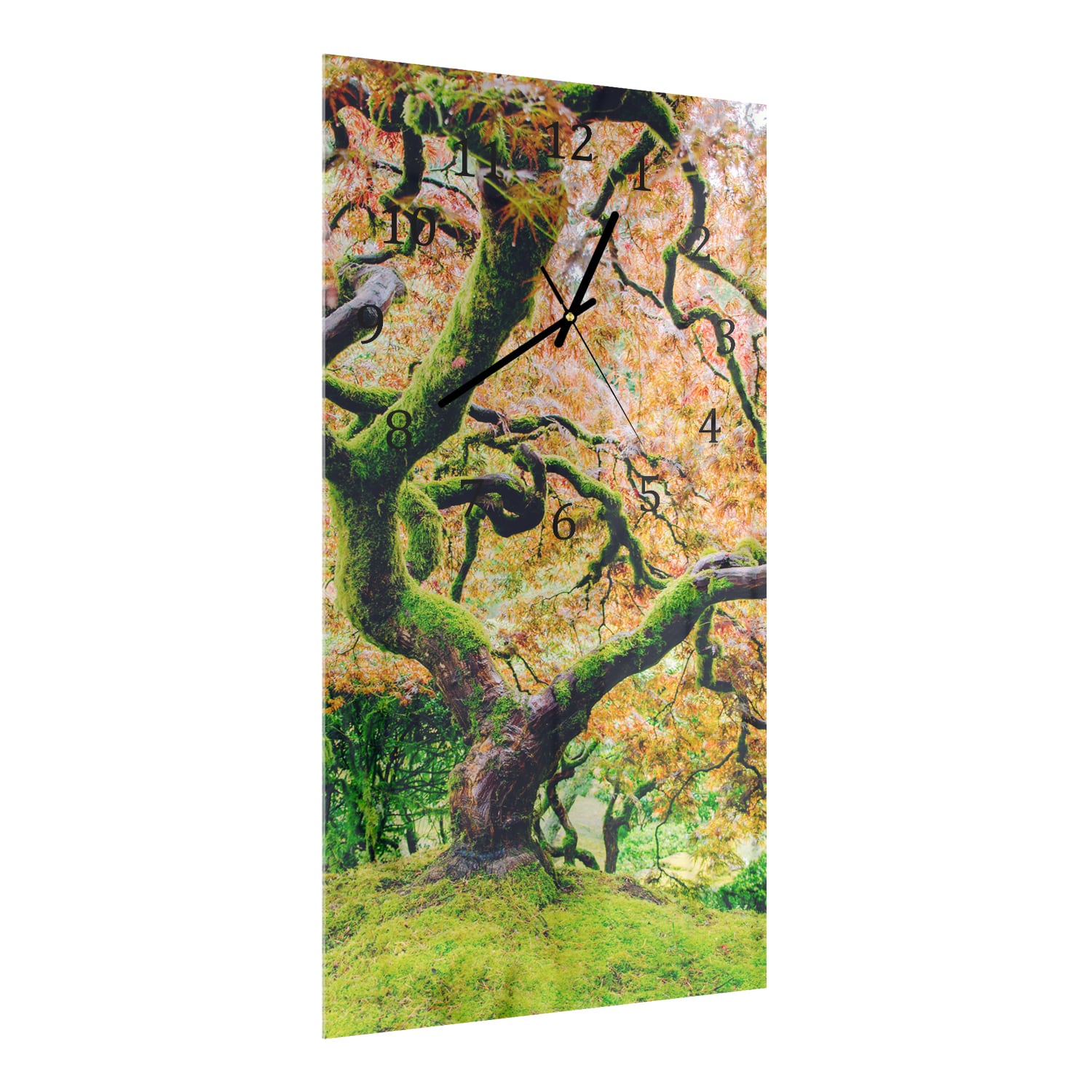 Wandklok 30x60  - Gehard Glas - Mossige Boom in de Herfst