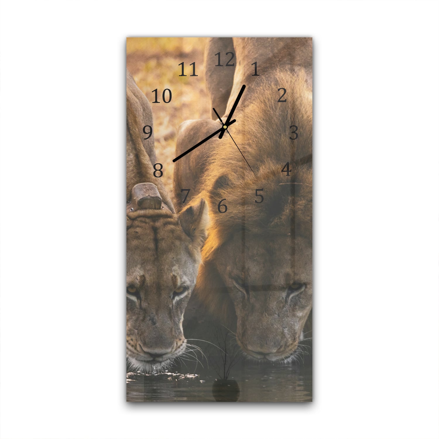 Wandklok 30x60  - Gehard Glas - Twee Leeuwen