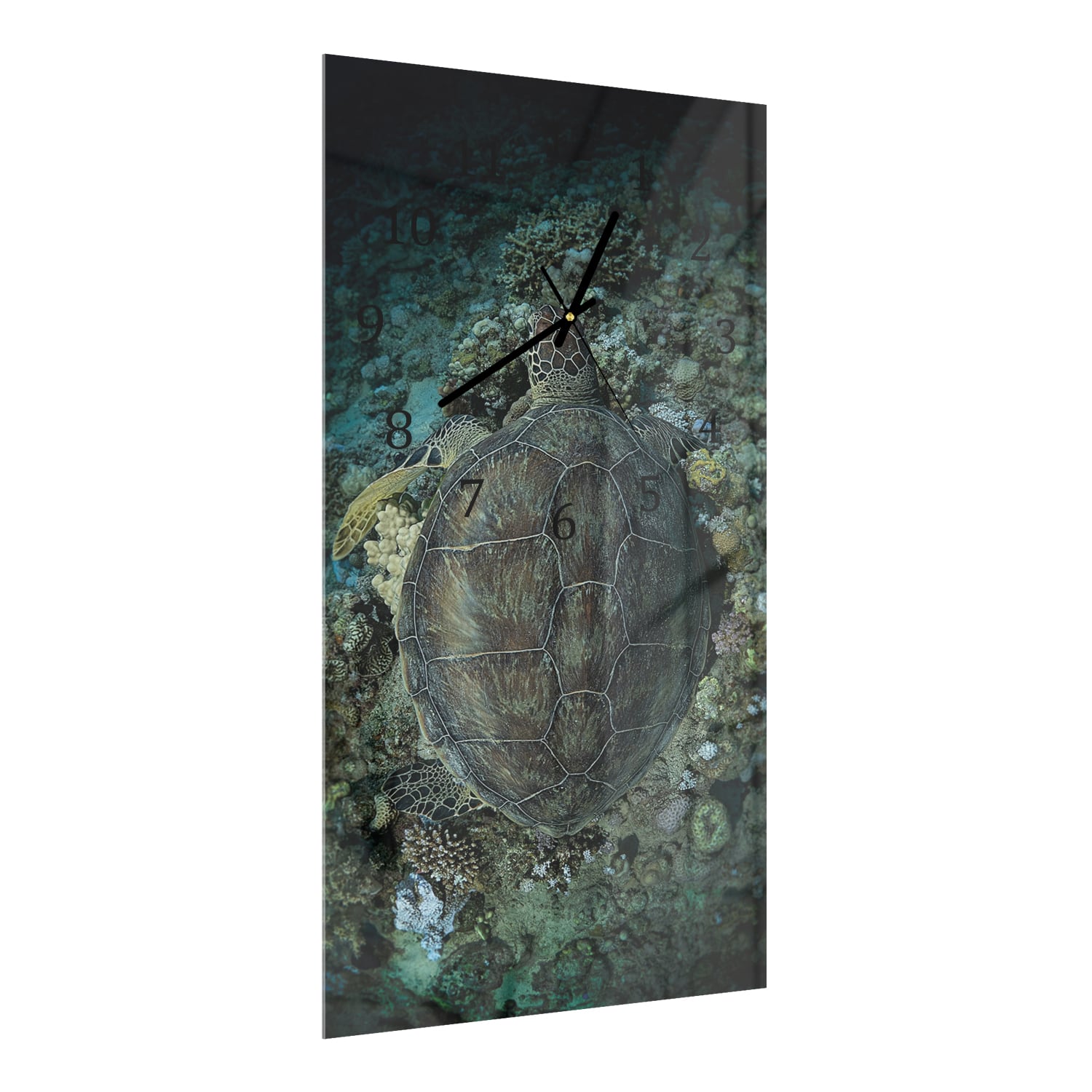 Wandklok 30x60  - Gehard Glas - Schildpad en Koraal