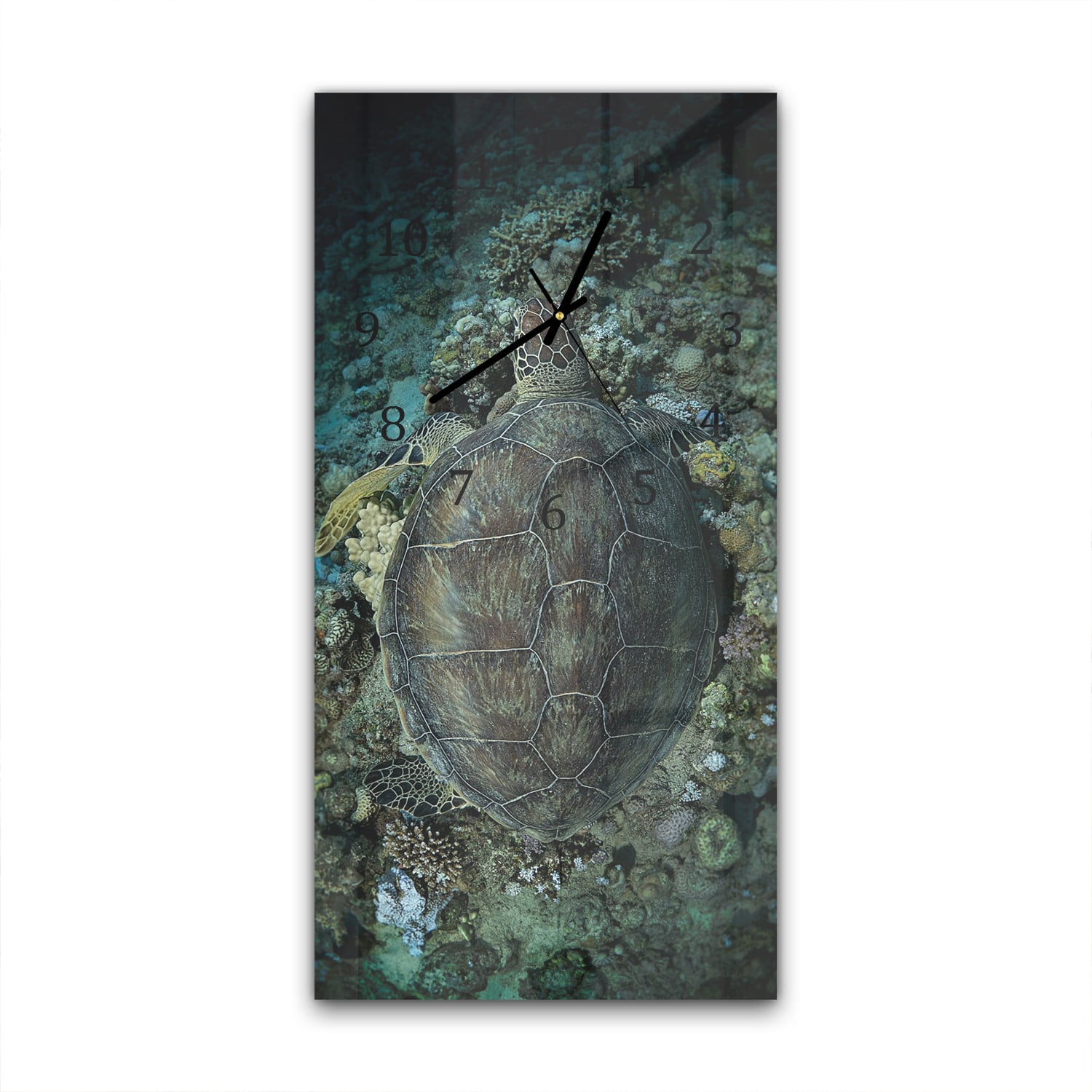 Wandklok 30x60  - Gehard Glas - Schildpad en Koraal