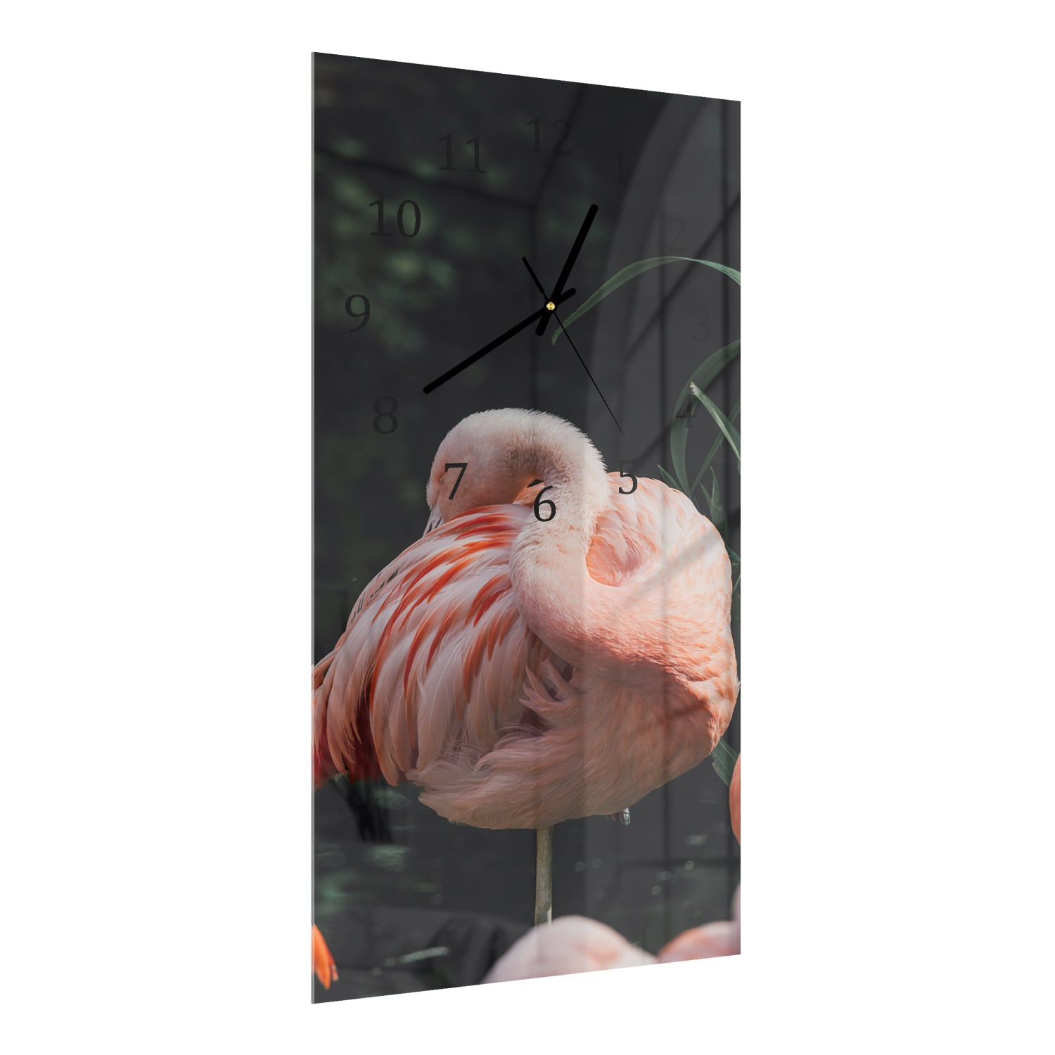 Wandklok 30x60  - Gehard Glas - Flamingo in de Natuur