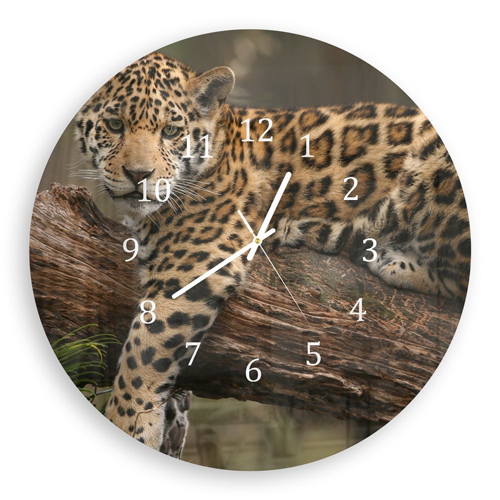 Wandklok Rond 30cm - Gehard Glas - Jaguar in de Boom