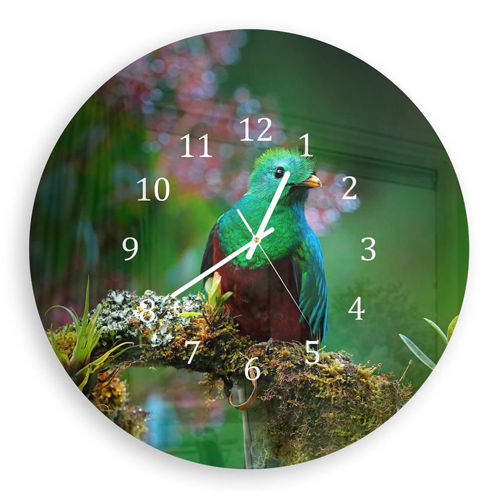 Wandklok Rond 30cm - Gehard Glas - Quetzal Vogel