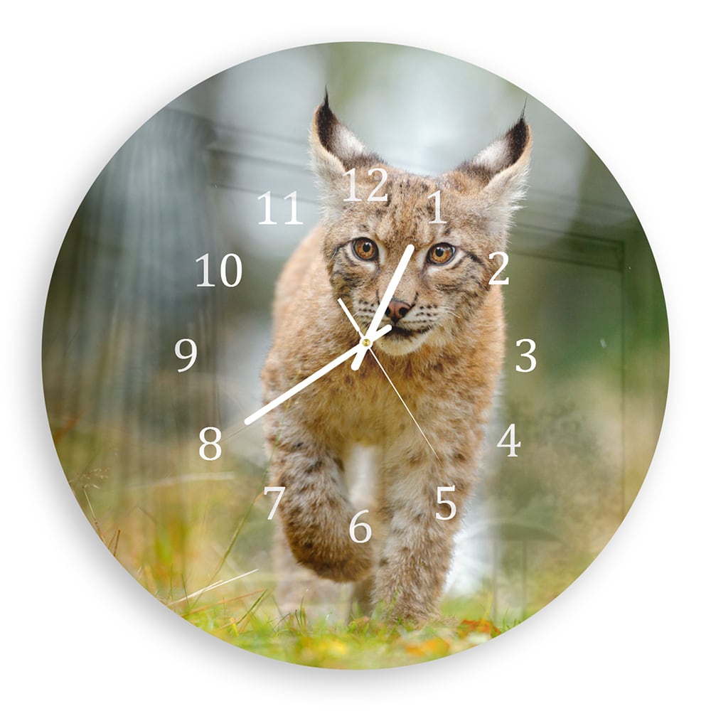 Wandklok Rond 30cm - Gehard Glas - Jonge Lynx