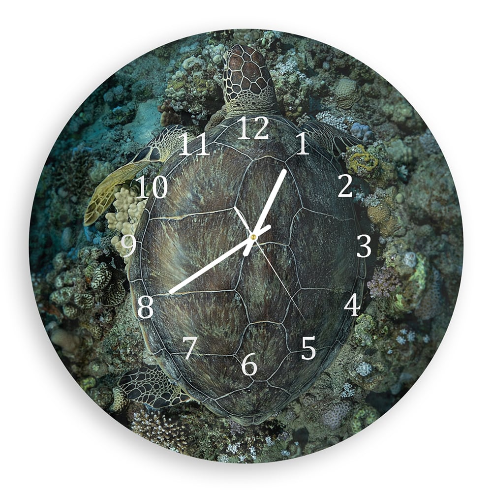 Wandklok Rond 30cm - Gehard Glas - Schildpad en Koraal