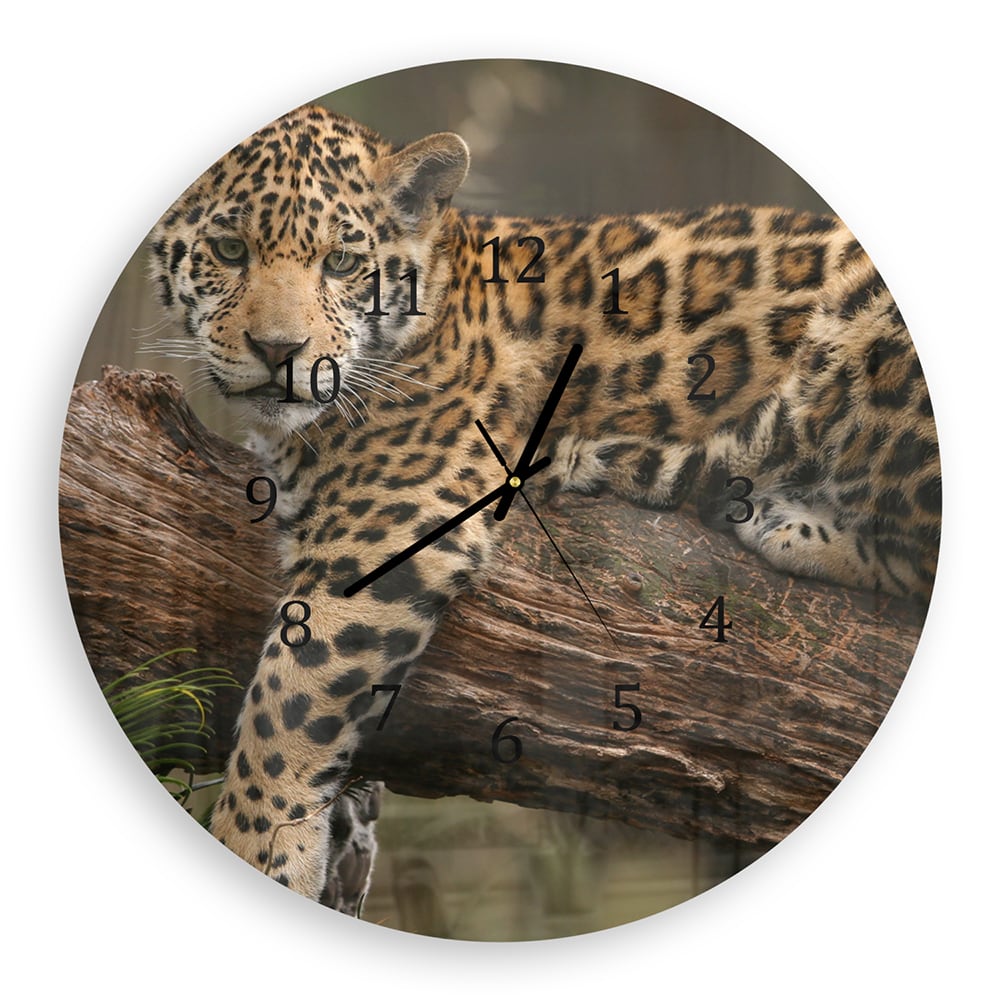 Wandklok Rond 30cm - Gehard Glas - Jaguar in de Boom